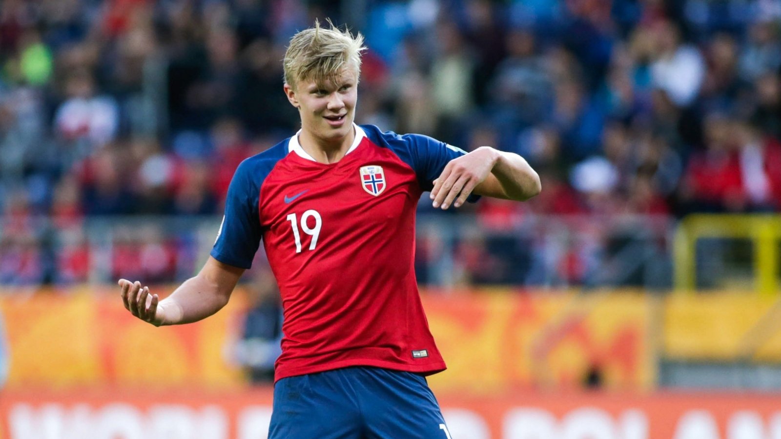 证明了自己 证明了自己