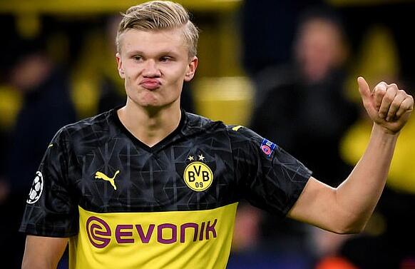 与其说老虎 与其说老虎